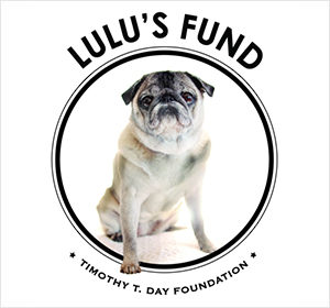 Lulu's Fund